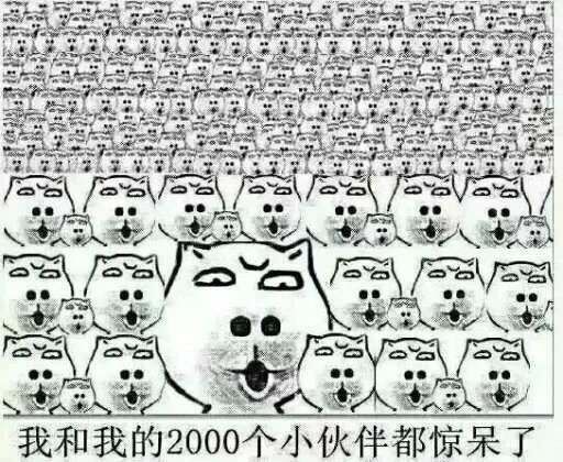 我和我的2000个小伙伴都惊呆了