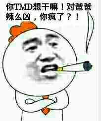 你TM想干嘛！对爸爸辣么凶，你疯了？！