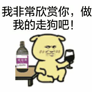 我非常欣赏你，做我的走狗吧！