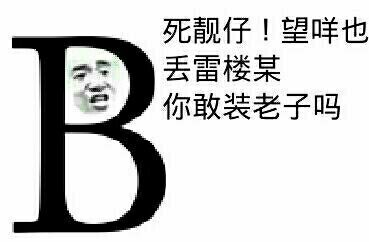 死靓仔！望咩也丢雷楼某，你敢装老子吗？