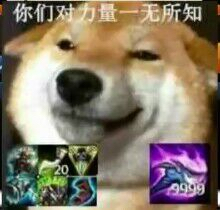 你们对力量一无所知（doge）