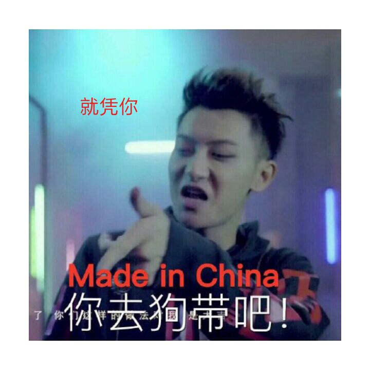 就凭你，你去狗带吧！（Made in China）