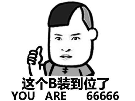 这个B装到位了（you are 666666666666）