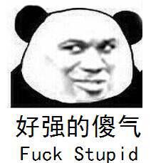 好强的傻气（fuck stupid）