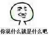 你说什么就是什么吧