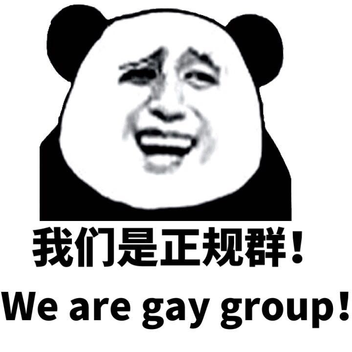 我们是正规群！we are gay group！