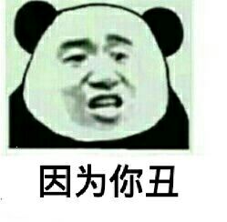 因为你丑