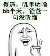 傻逼，叽里咕噜BB半天，爸爸一句没听懂