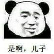 是啊，儿子