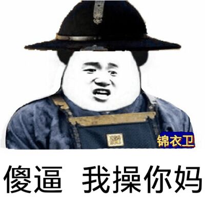 傻逼，我操你妈