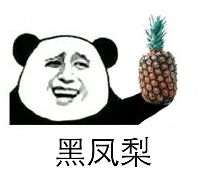 黑凤梨