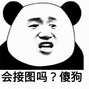 会接图吗？傻狗！