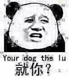 就你？（your dog the lu）