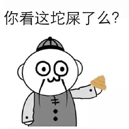 你看这坨屎了么？