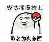 成功捕捉楼上，取名为狗东西