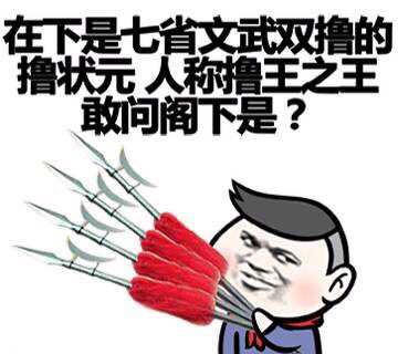 在下是七省文武双撸的撸状元，人称撸王之王，敢问阁下是？