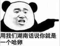 用我们湖南话说你就是一个哈卵