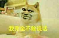 我完全不敢说话（doge）