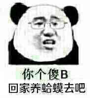 你个傻B，回家养蛤蟆吧