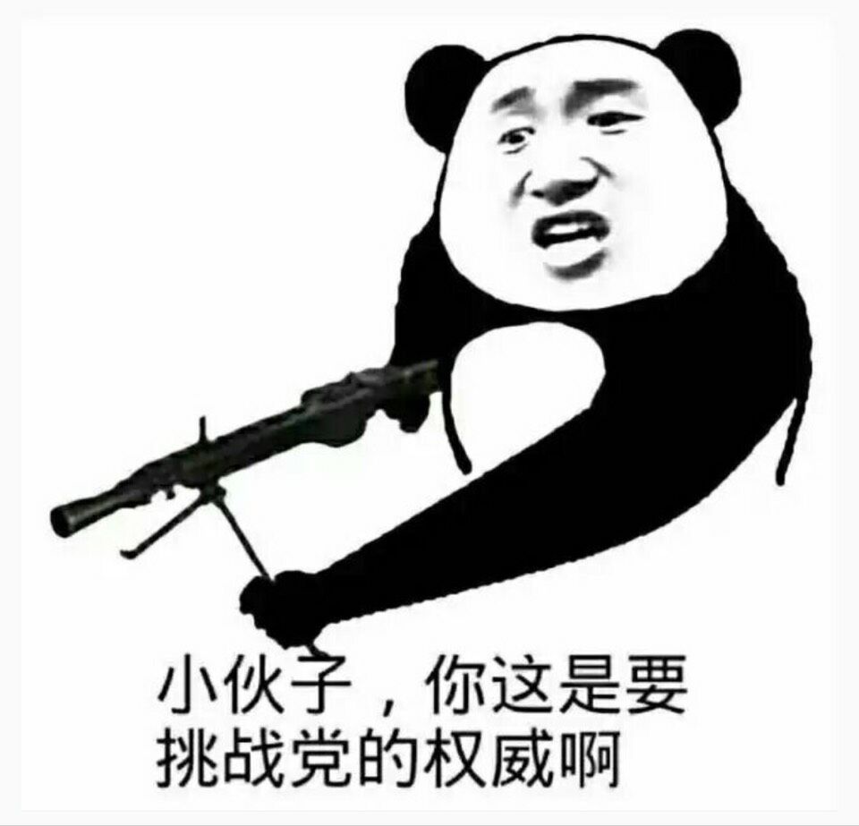 小伙子，你这是要挑战党的权威啊！