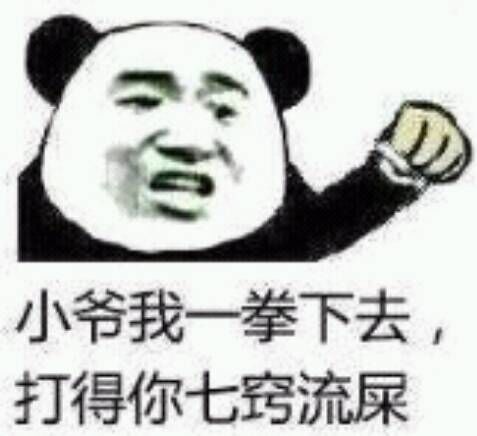 小爷我一拳下去，打得你七窍流屎