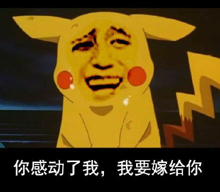 你感动了我，我要嫁给你