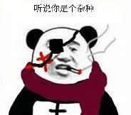 听说你是个杂种