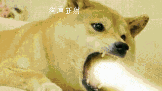 狗屌狂射