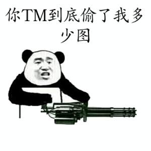 你TM到底偷了我多少图