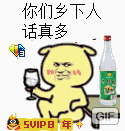 你们乡下人话真多（SVIP8）