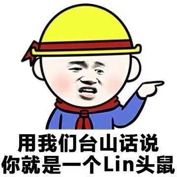 用我们台山话说，你就是一个lin头鼠