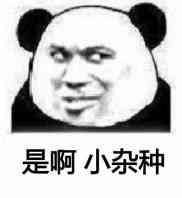 是啊，小杂种