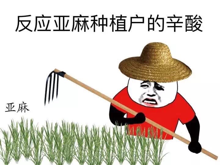 反应亚麻种植户的心酸（亚麻）