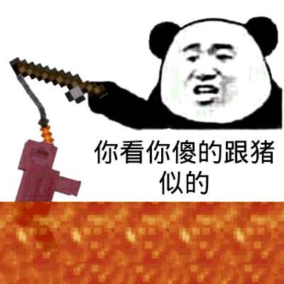 你看你傻的跟猪似的！（minecraft）