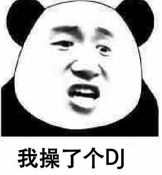 我操了个DJ