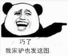 巧了，我写驴也发这图