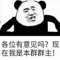 各位有意见吗？现在我是本群群主！