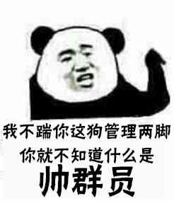 我不踹你这狗管理两脚，你就不知道什么是帅群员！（熊猫人）