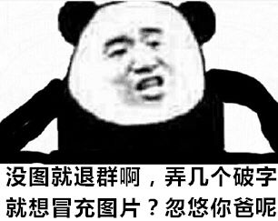 没图就退群啊，弄几个破字就想冒充图片？忽悠你爸呢！