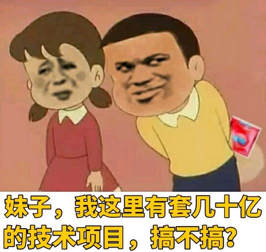 妹子，我这里有套几十亿的技术项目，搞不搞？