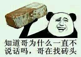 知道哥为什么一起不说话吗，哥在找砖头！