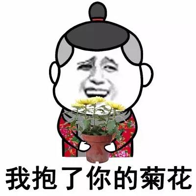 我抱了你的菊花