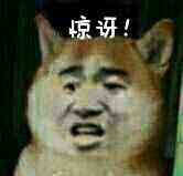 惊讶 （doge）