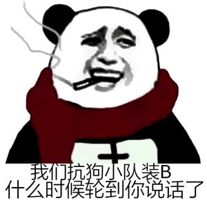 我们抗狗小队装B，什么时候轮到你说话了