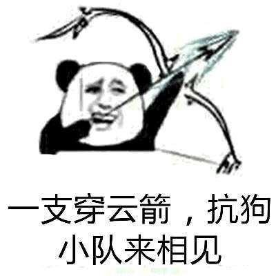 一支穿云箭，抗狗小队来相见