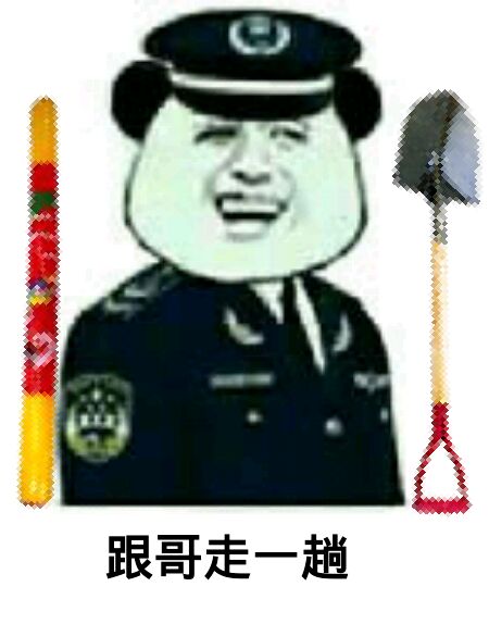 跟哥走一趟