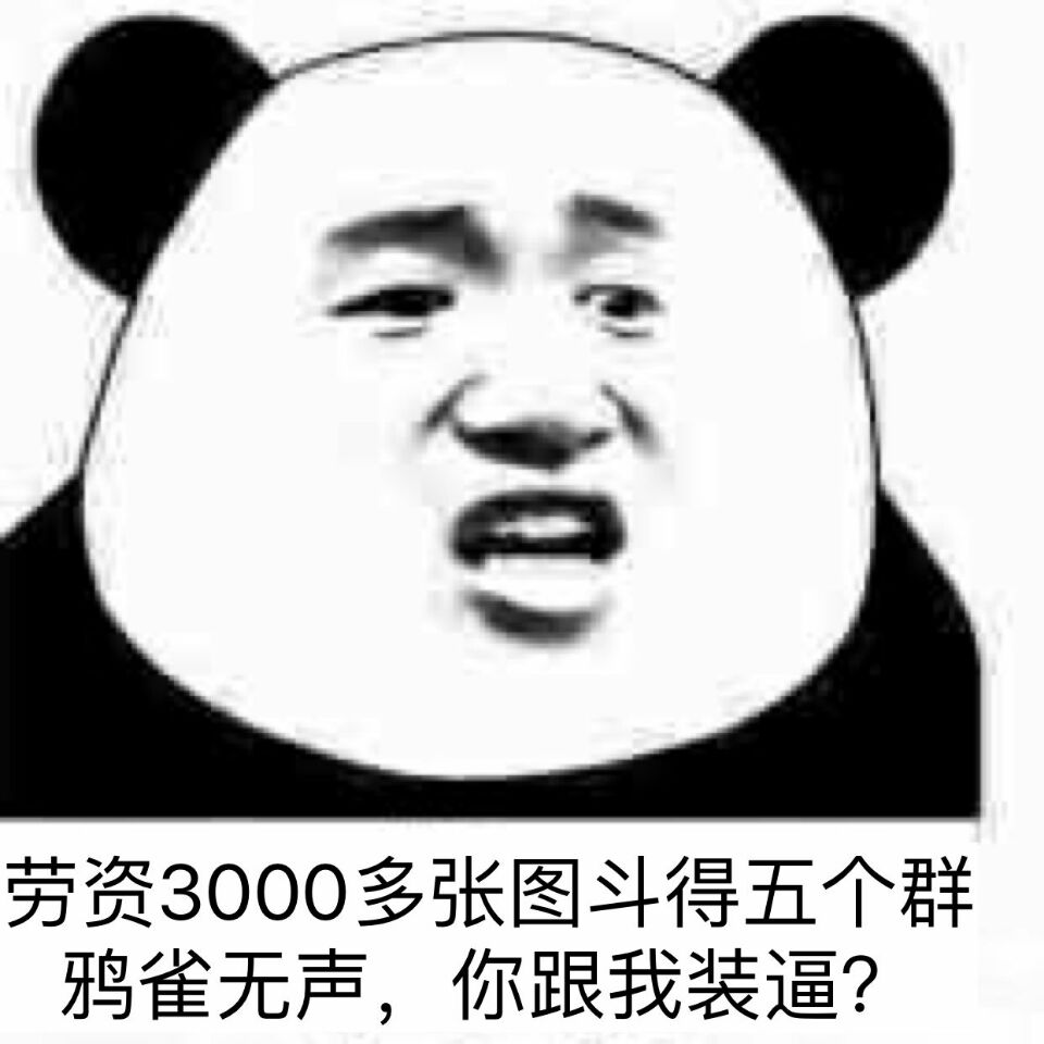 劳资3000多张图斗得五个群鸦雀无声，你跟我装逼？