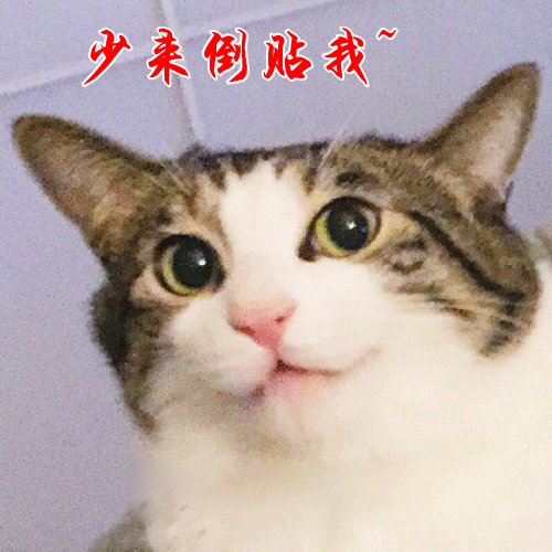 少来倒贴我