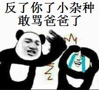 反了你了小杂种，敢骂爸爸了