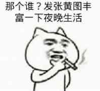 那个谁？发张黄图丰富一下夜晚生活！